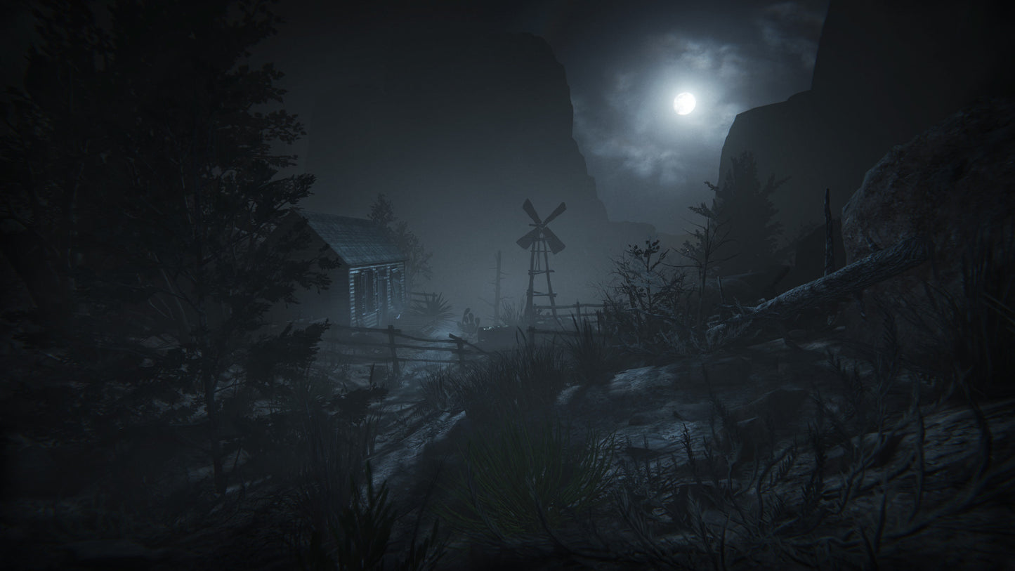Outlast 2 (wersja Steam)