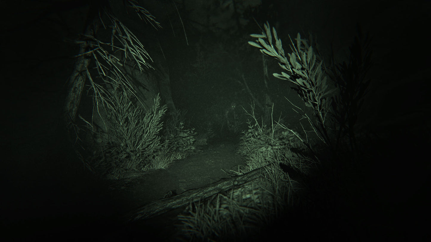 Outlast 2 (wersja Steam)