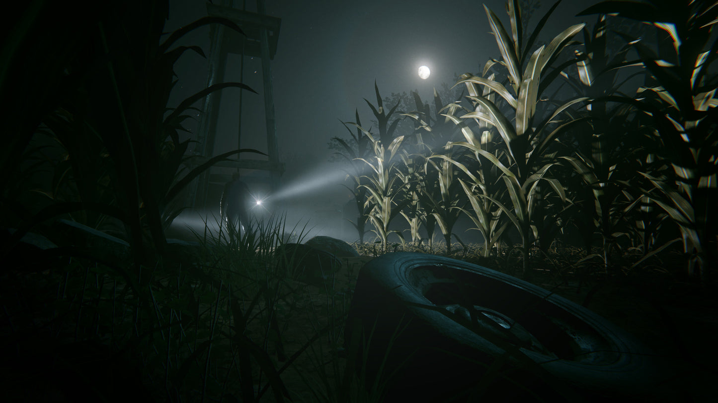 Outlast 2 (wersja Steam)