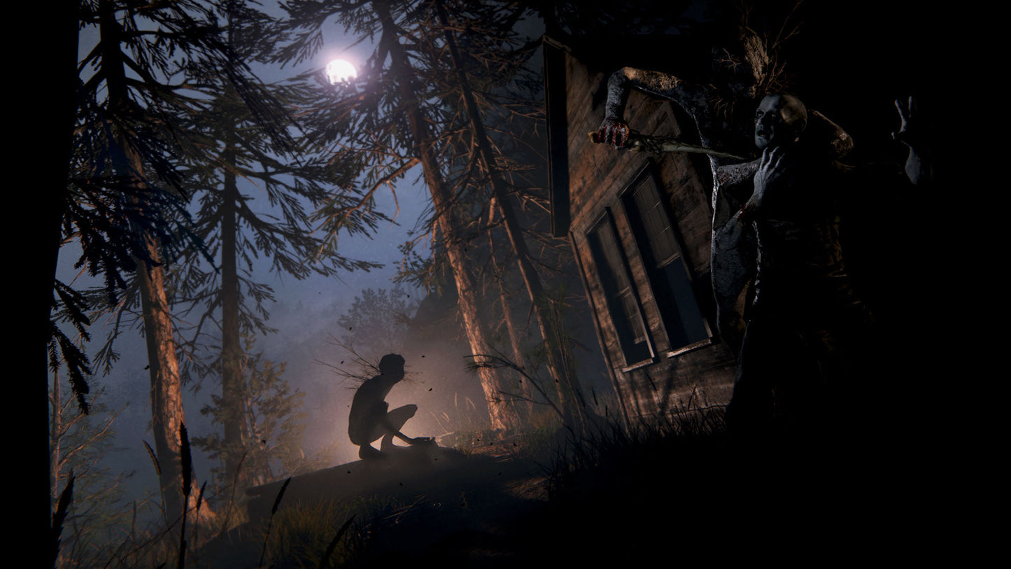 Outlast 2 (wersja Steam)