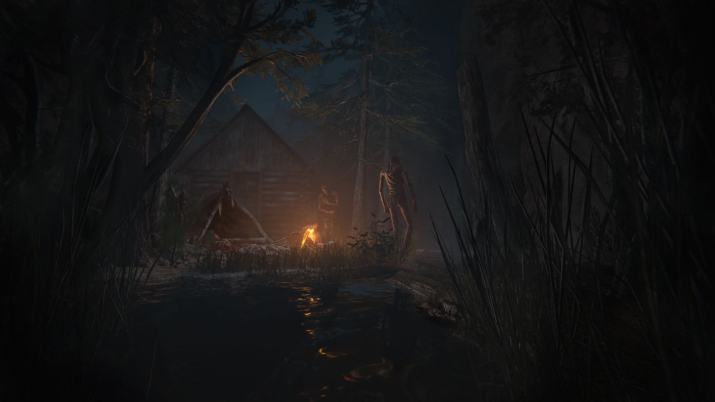 Outlast 2 (wersja Steam)