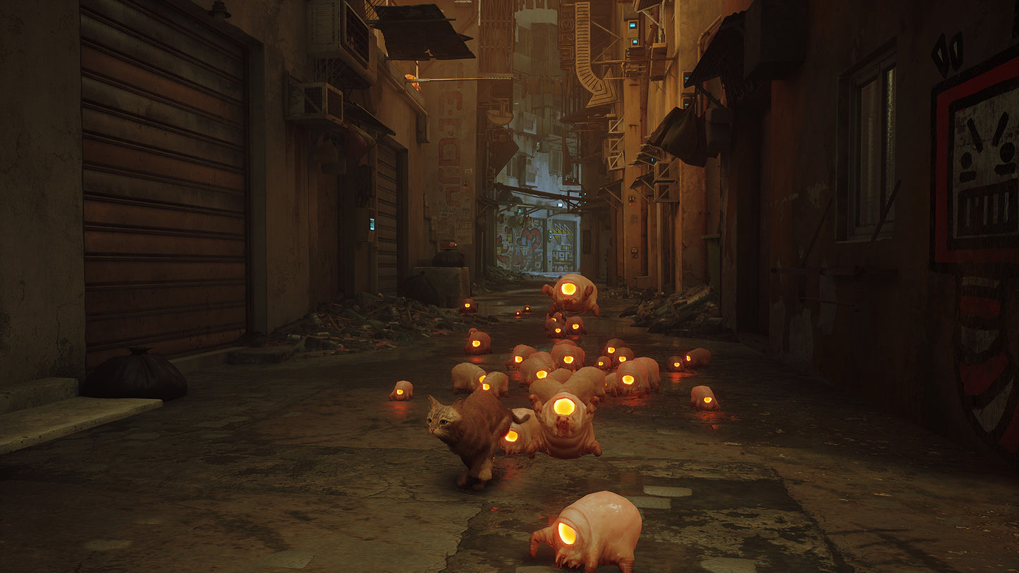 Błąkający się (para)