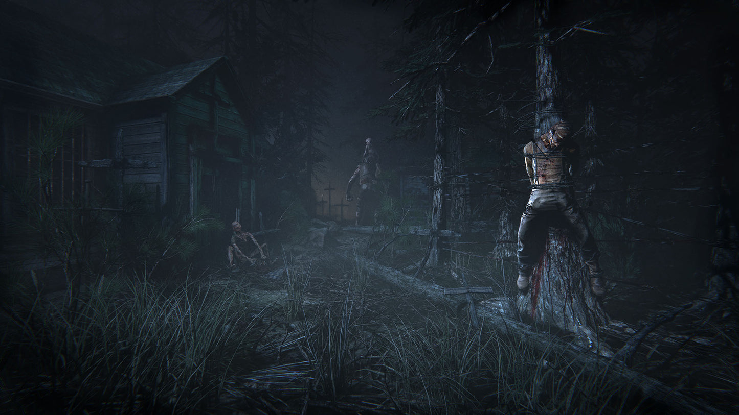 Outlast 2 (wersja Steam)