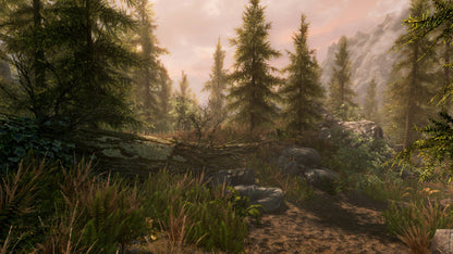 The Elder Scrolls V: Skyrim (Steam)