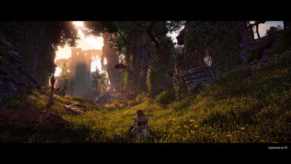Horizon Zero Dawn Remastered (Steam)