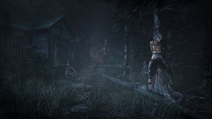 Outlast 2 (wersja Steam)